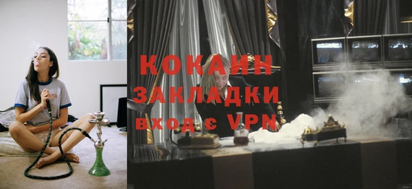 гидра Козловка