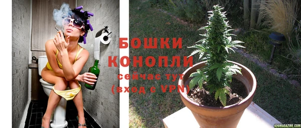 спиды Козельск