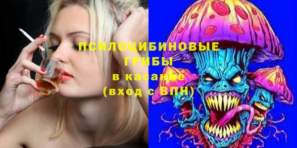 ГАЛЛЮЦИНОГЕННЫЕ ГРИБЫ Кодинск