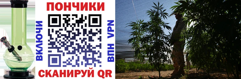 Конопля LSD WEED  Купить закладки  Ухта 